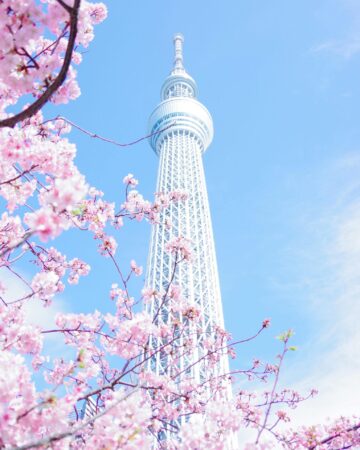 Tokyo en 3 días